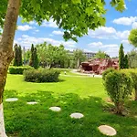 Apollon7 Comfort Νεσέμπαρ